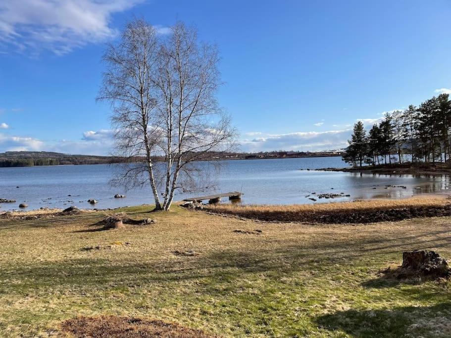 Lake Lodge Roennaes Лександ Екстер'єр фото