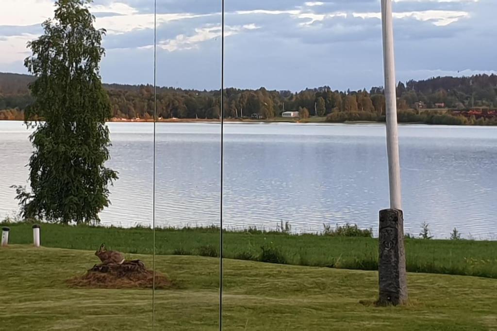Lake Lodge Roennaes Лександ Екстер'єр фото
